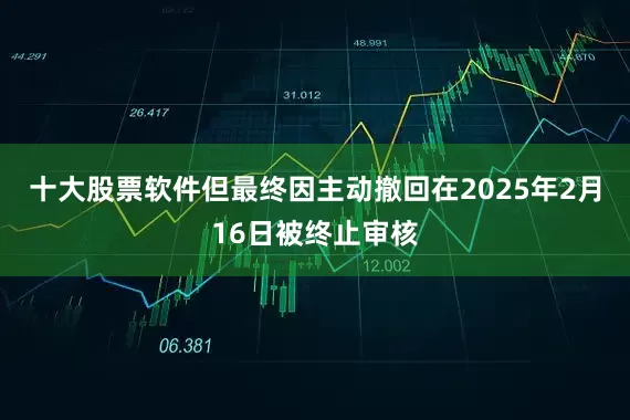 十大股票软件但最终因主动撤回在2025年2月16日被终止审核