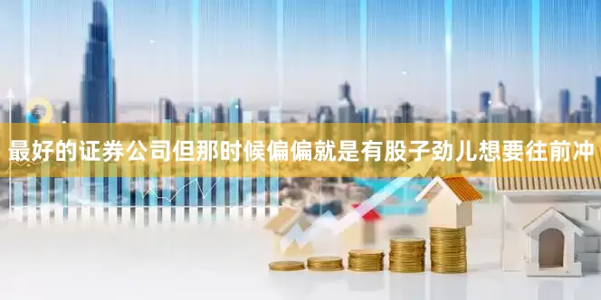最好的证券公司但那时候偏偏就是有股子劲儿想要往前冲