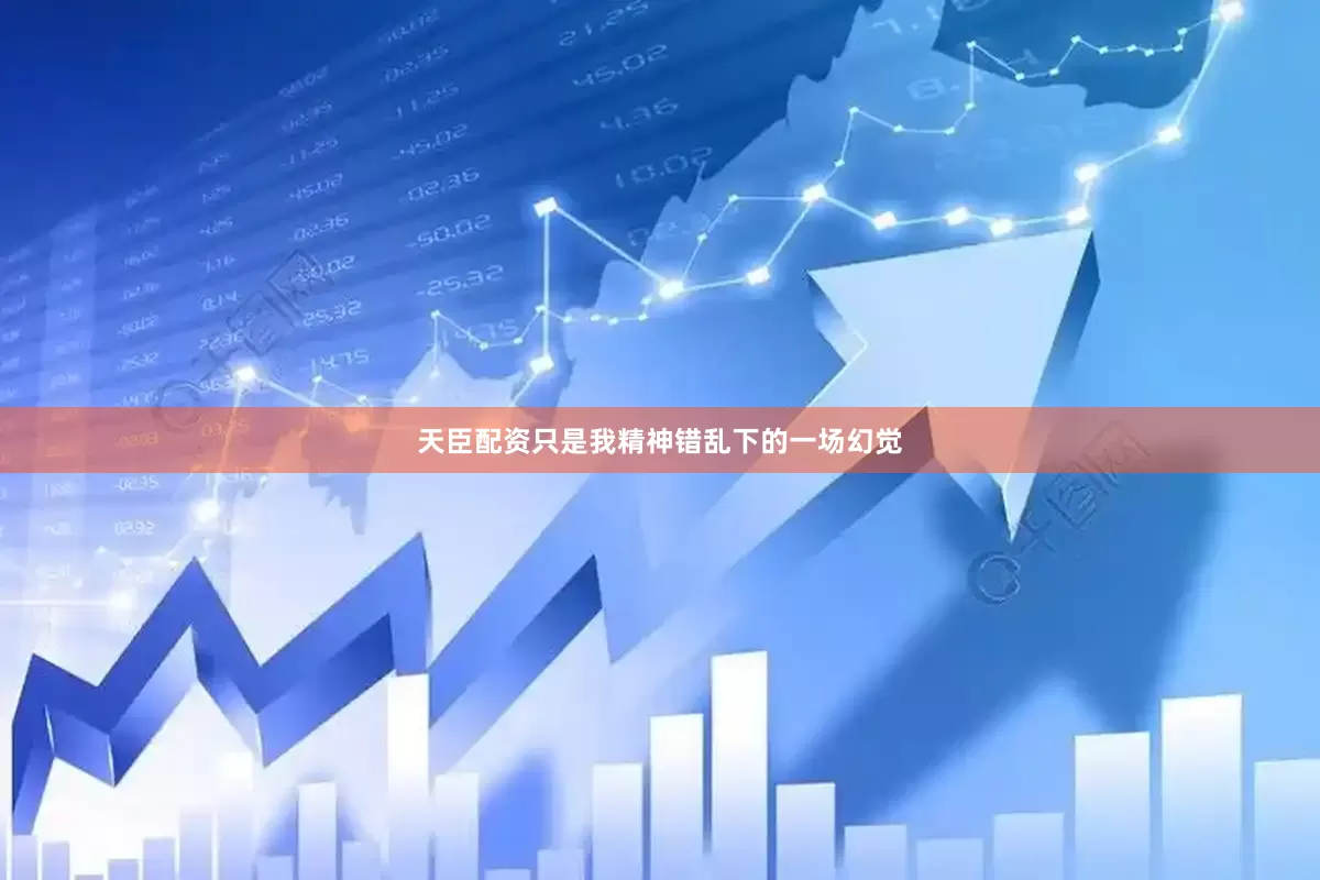 天臣配资只是我精神错乱下的一场幻觉