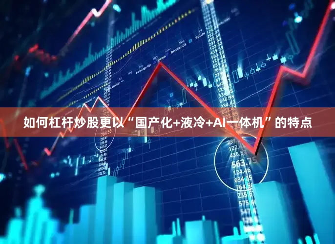 如何杠杆炒股更以“国产化+液冷+AI一体机”的特点