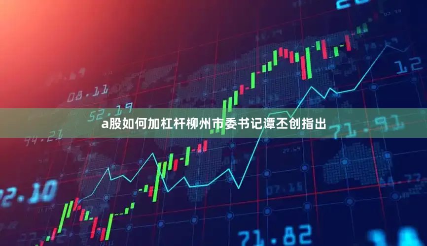 a股如何加杠杆柳州市委书记谭丕创指出