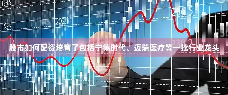 股市如何配资培育了包括宁德时代、迈瑞医疗等一批行业龙头