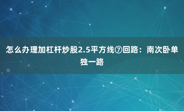 怎么办理加杠杆炒股2.5平方线⑦回路：南次卧单独一路
