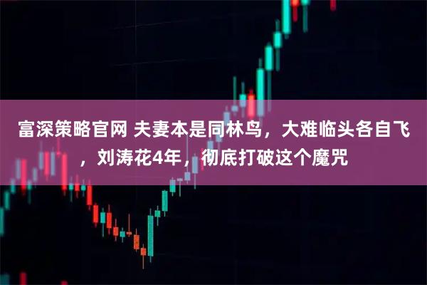 富深策略官网 夫妻本是同林鸟，大难临头各自飞，刘涛花4年，彻底打破这个魔咒